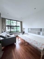 Holland Link (D10), Terrace #559708901